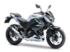 Z250
