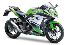 Ninja 300 30th Anniversary Edition