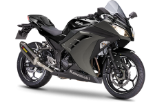 Ninja 300 Performance Black 
