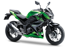 Z300