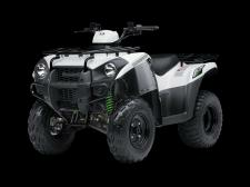 Brute Force 300