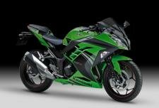 Ninja 300 Special Edition (2014)